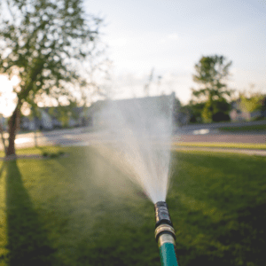 The Art Of Proper Lawn Watering Tips For A Lush And Healthy Yard Top