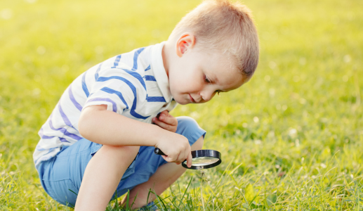 Kid looking at a dandelion with a magnifying glass