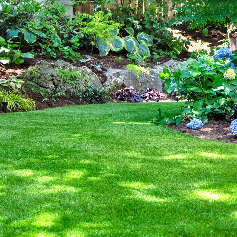 Read more about the article Boost the Health of Your Michigan Lawn With Core Aeration
