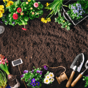 garden soil with tools and flowers