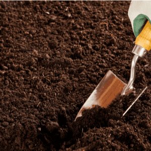 shovel-in-soil