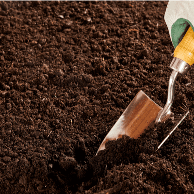 shovel in soil 