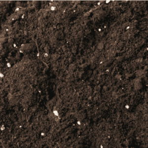 soil-with-fertilizer