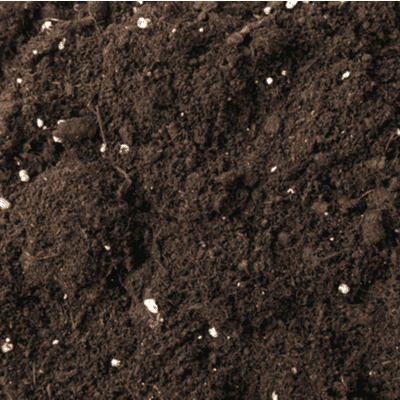 soil with fertilizer 