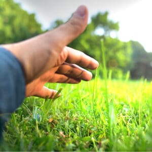 mans hand on grass