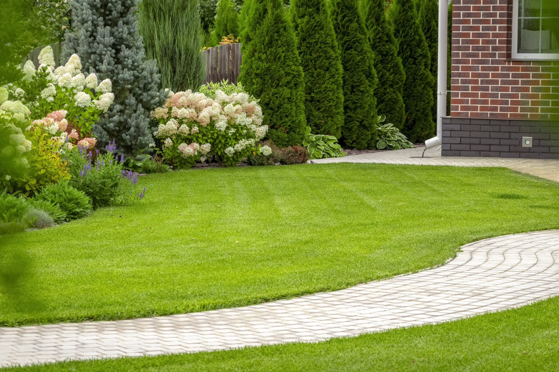 Read more about the article Help Your Lawn During Dry and Hot Weather