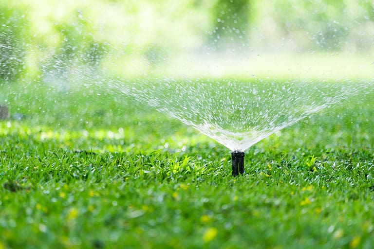 Read more about the article The Art of Proper Lawn Watering: Tips for a Lush and Healthy Yard