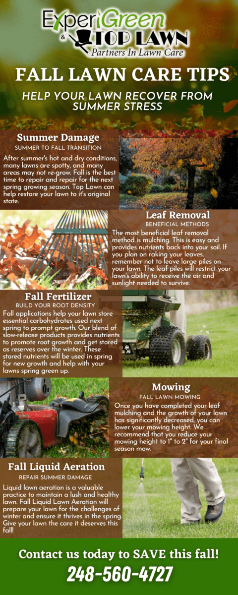 Michigan Fall Lawn care tips