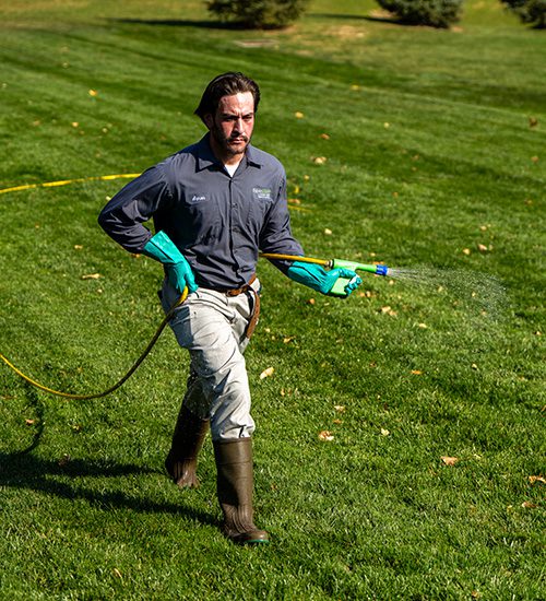 Lawn technician spraying liquid fertilizer